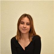 Clases de Fundamentos del Arte o Historia del Arte